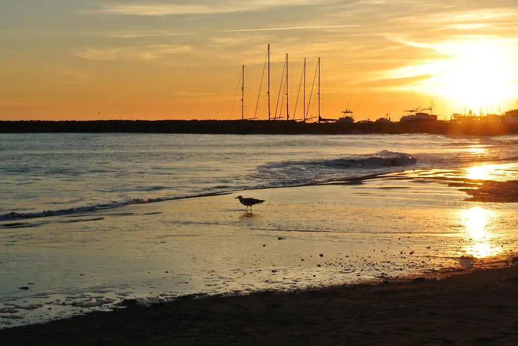 Hotel Les Palmiers En Camargue Saintes-Maries-de-la-Mer
