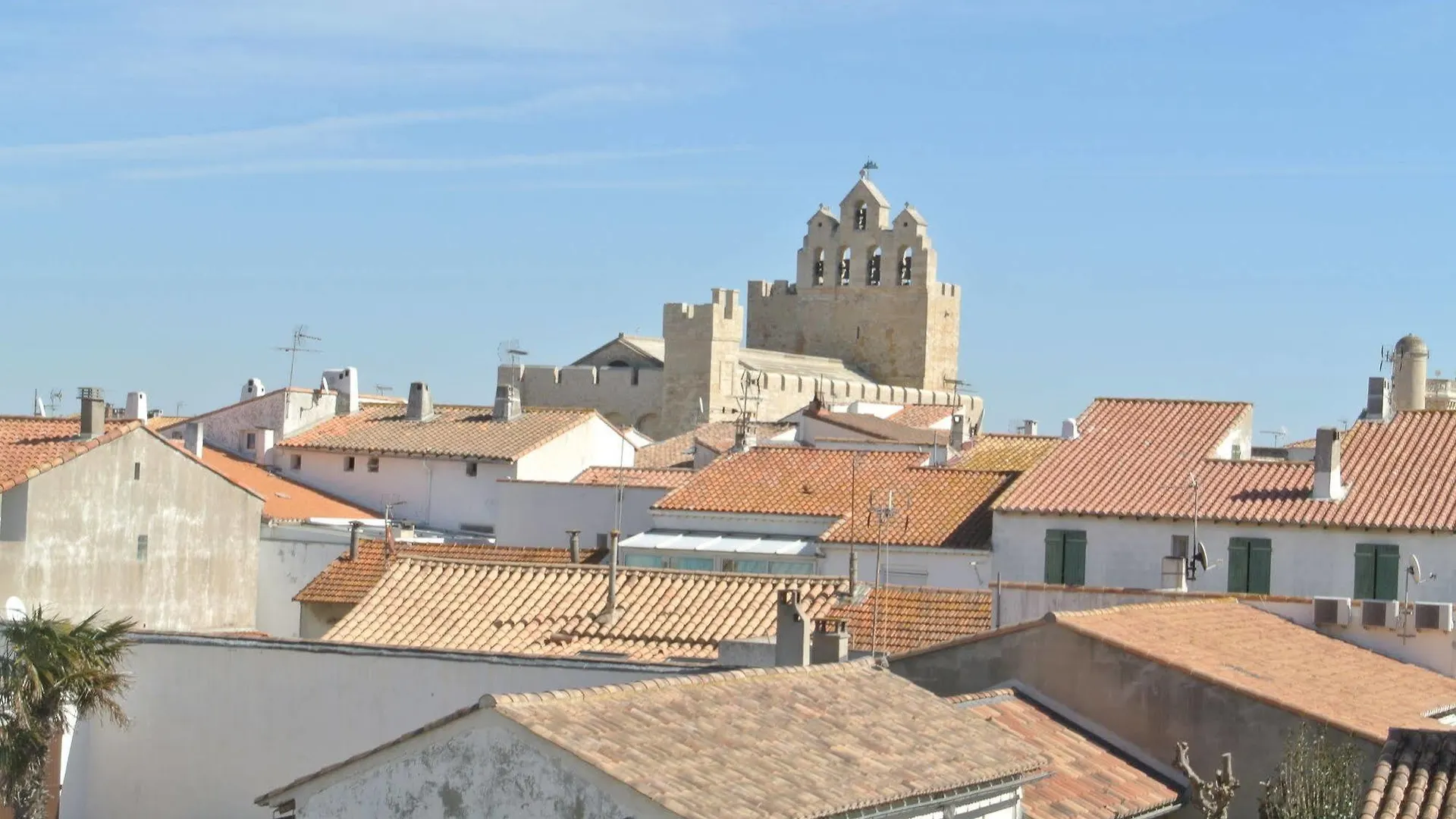 Hotel Les Palmiers En Camargue Saintes-Maries-de-la-Mer